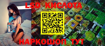 крисы Коммунар