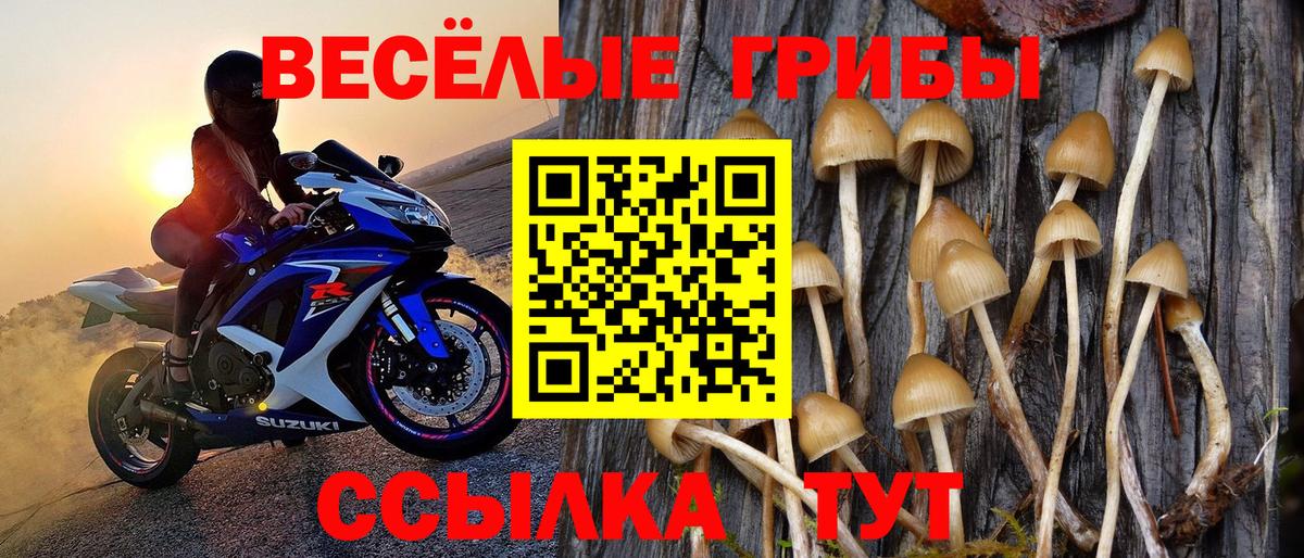 Галлюциногенные грибы Magic Shrooms Курган